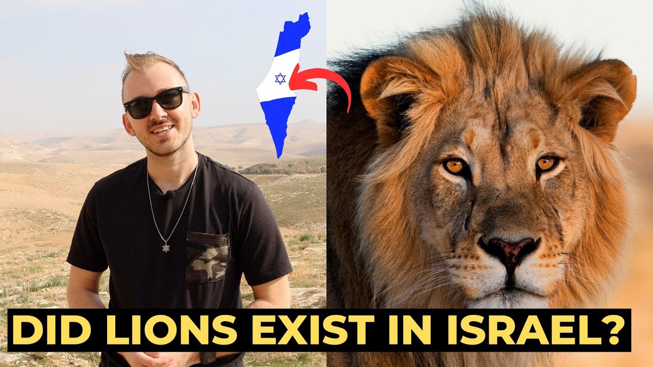 Did Lions Exist in Israel? The Bible’s Greatest Mystery 🦁